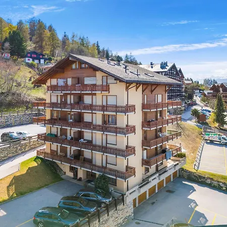 Ambassador Ii Nr 10 - 4 Pers - Pres Des Pistes *